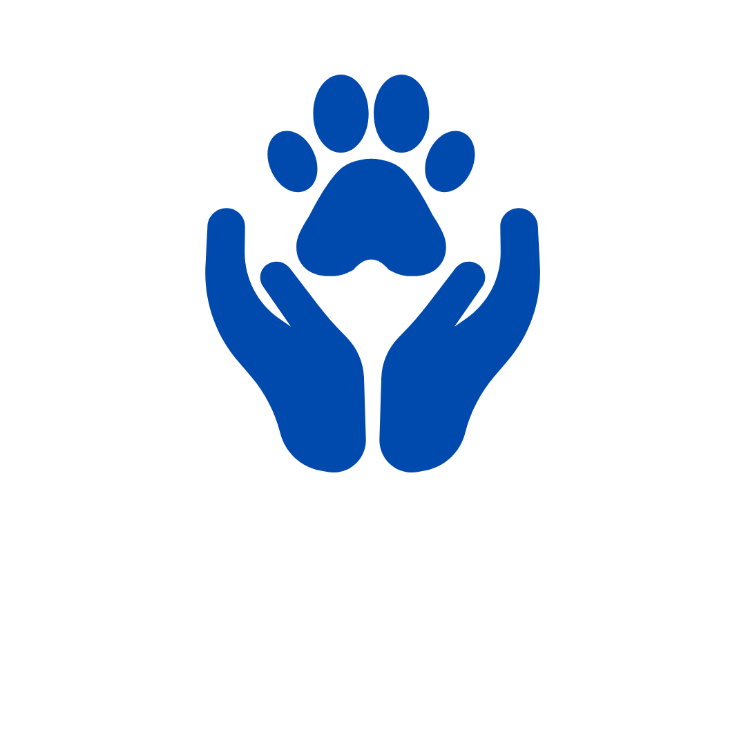 Production Icon